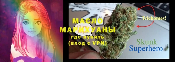 стаф Чекалин