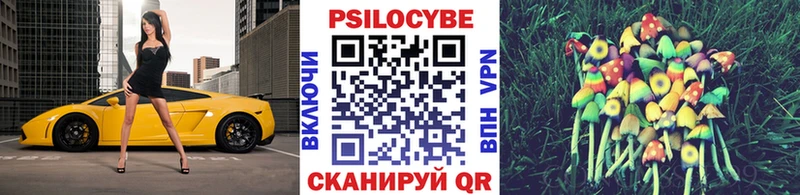 купить наркоту  Красный Кут  Галлюциногенные грибы прущие грибы 
